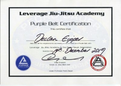 Wing Chun & Jiu-Jitsu Melbourne Jiu Jitsu Purple Belt Certificate PurpleBeltCertificate1.8MB-400x284