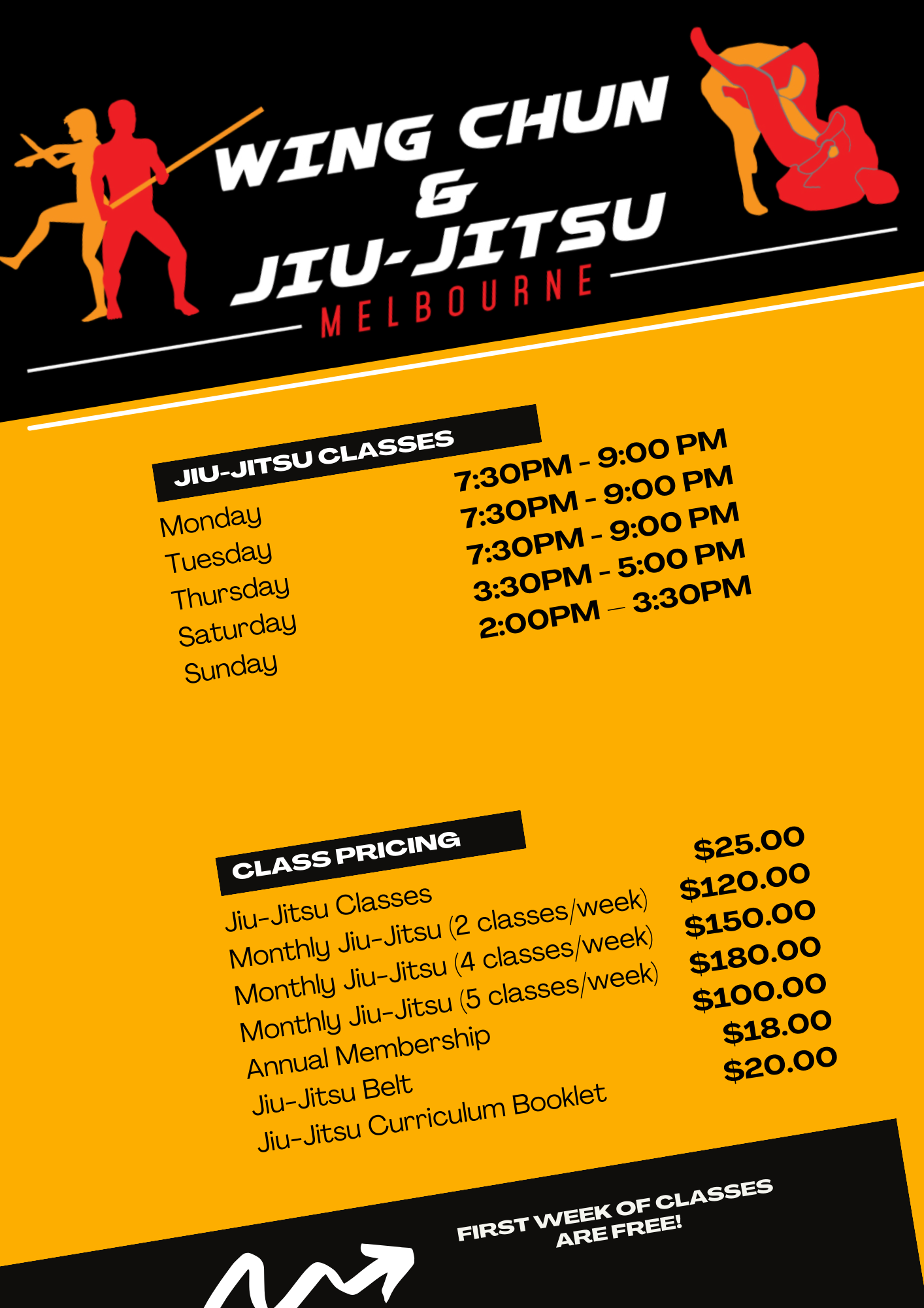 Adult Jiu-Jitsu Classes