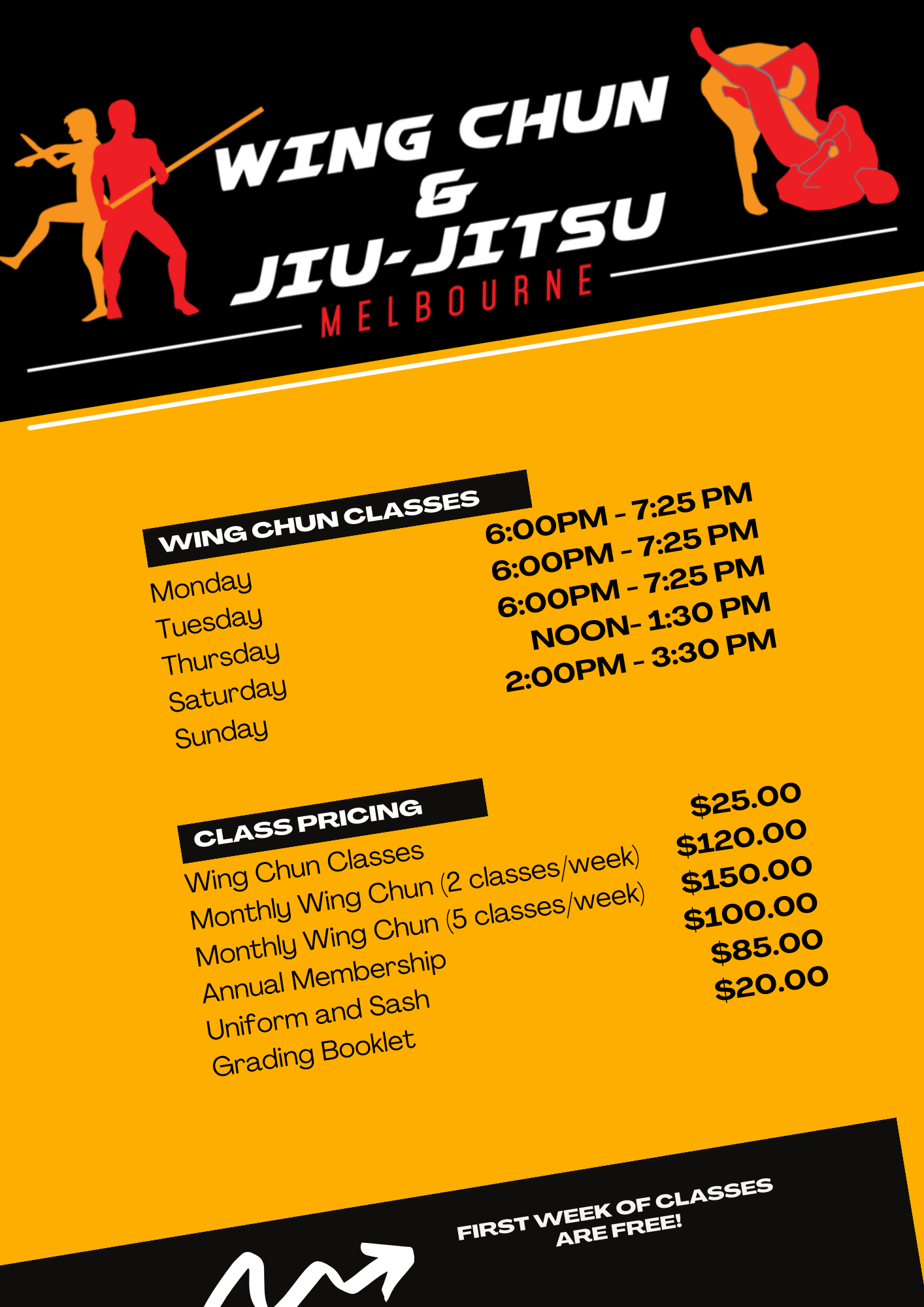 Adult Wing Chun Classes